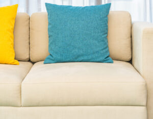 Sofa Cushion