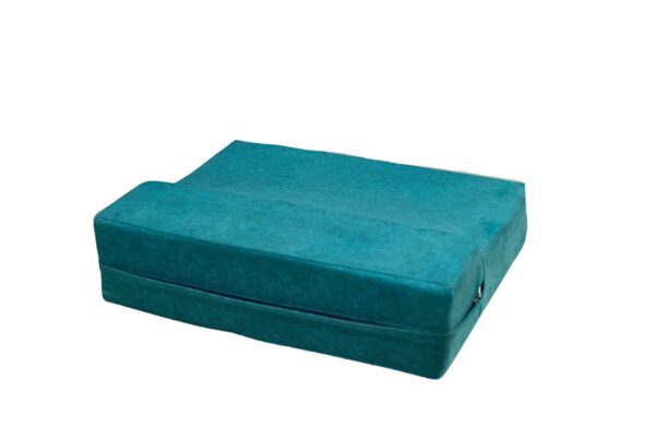 Sofa cushion