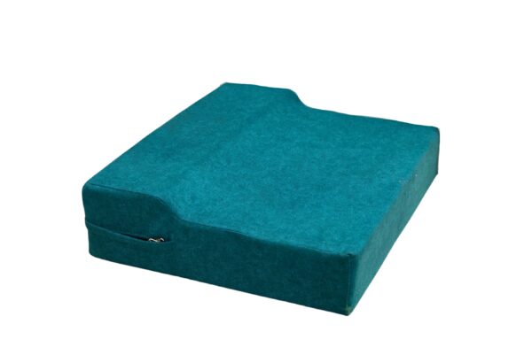 Sofa cushion