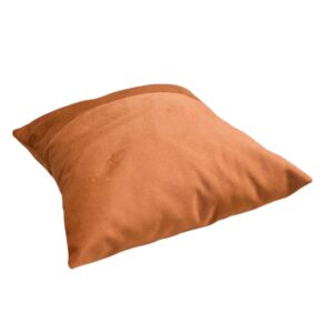 Throw Cushions / Square Pillow