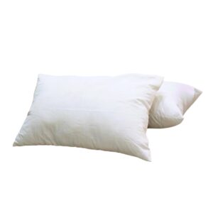 Poly Fibre Pillow