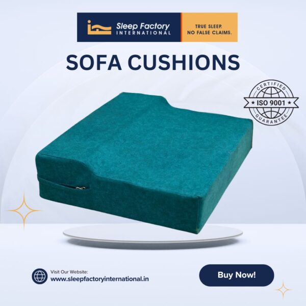 Sofa cushion