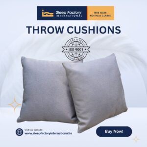 Throw Cushions / Square Pillow