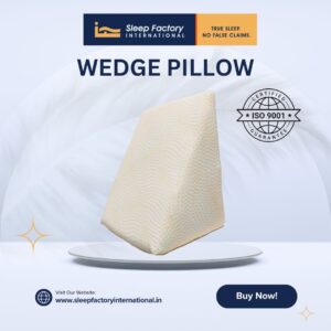 Wedge Pillow