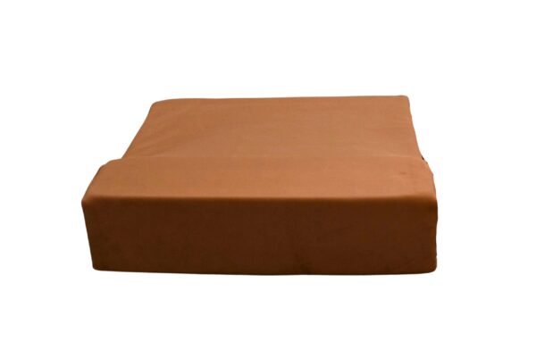 Sofa cushion