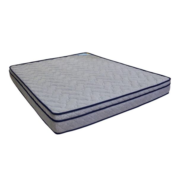 Spineaid